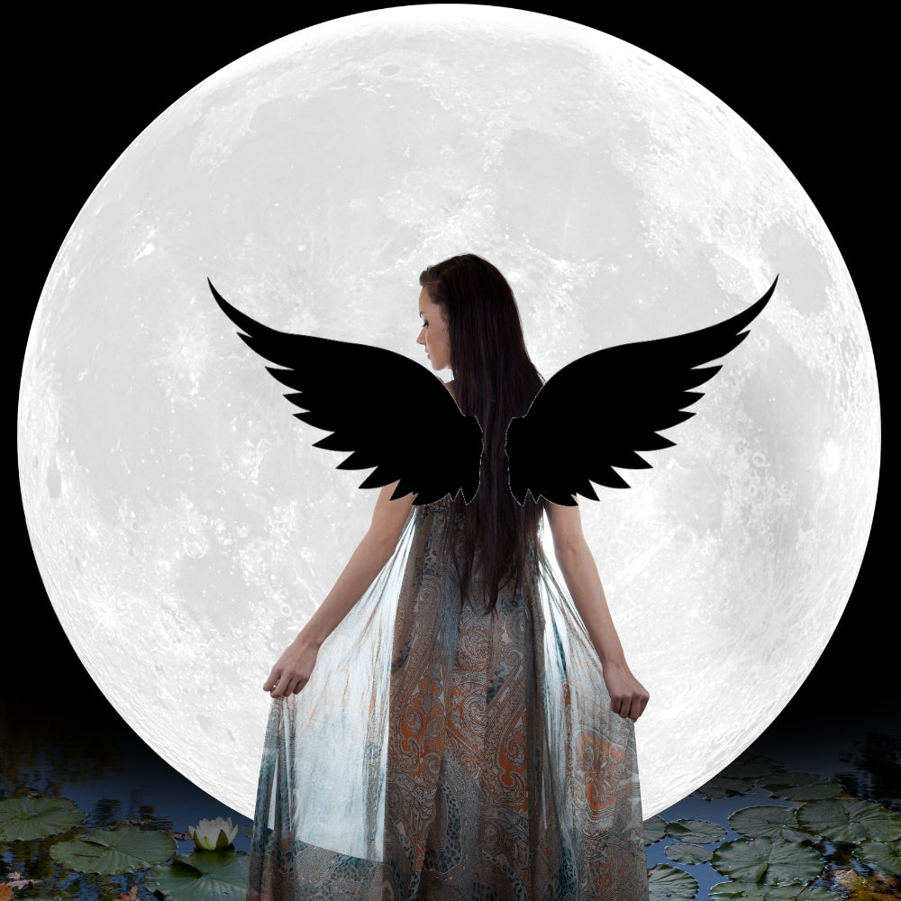 Precut glass shape of angel wings