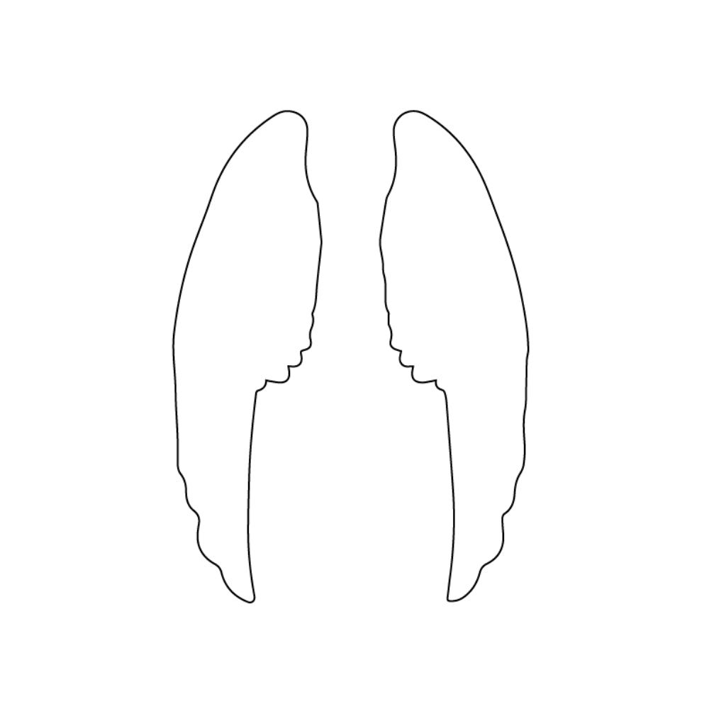 Angel Wings #2 Precut Glass Shape - COE 96