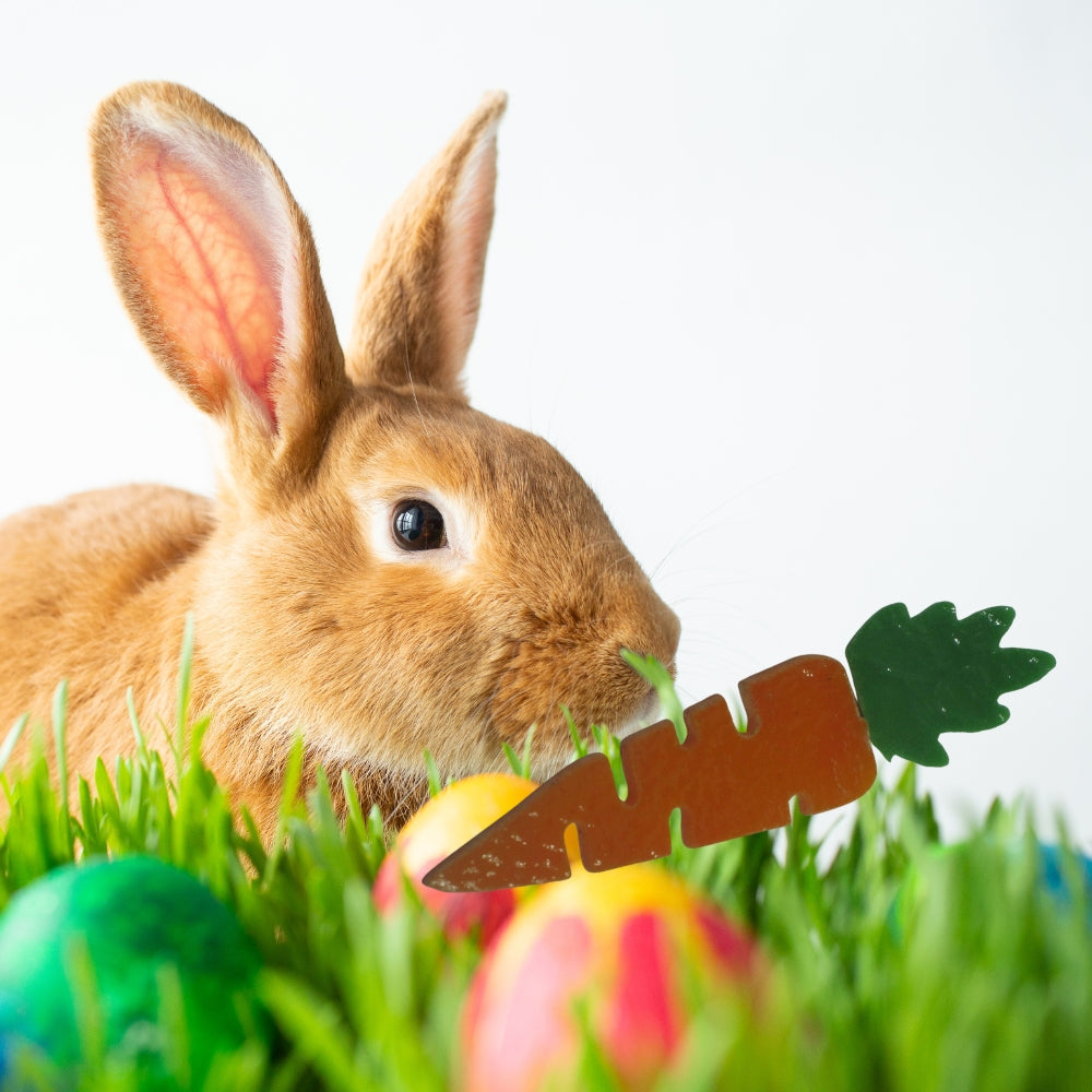 Precut glass shape of a carrot with an easter bunny.