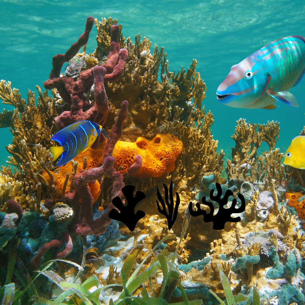 Precut glass shape of set of 3 coral in ocean.