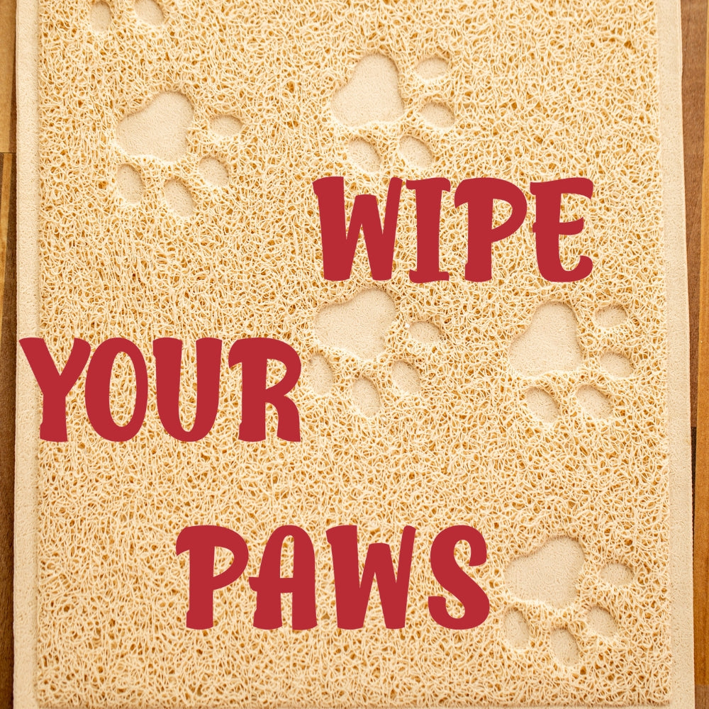 Precut - Maybe Cats Font - Red - 90