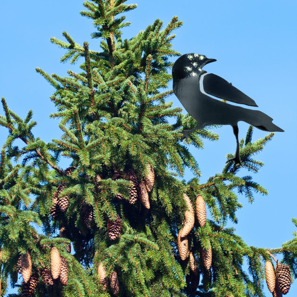 Precut glass shape of a raven.