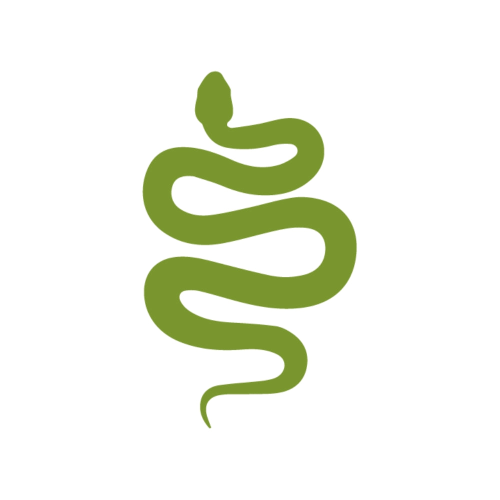 Snake Precut Glass Shapes - Halloween - COE 90