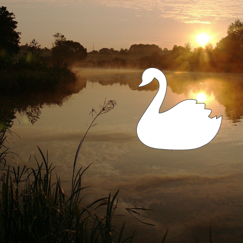 Precut glass shape of a swan in water.