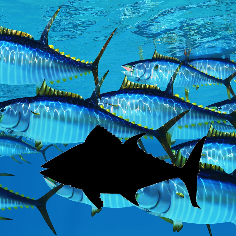 Precut glass shape of a tuna fish in a school of tuna.