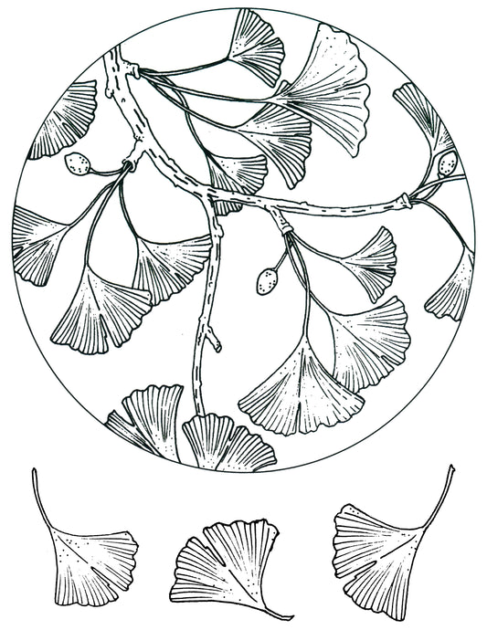 Ginkgo Leaf Circle screen print by Mark Hufford – round botanical fused glass design with individual ginkgo leaves
