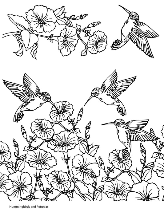 Hummingbirds and Petunias screen print by Mark Hufford – 8x10 hand-drawn floral and bird design for fused glass and enamel painting