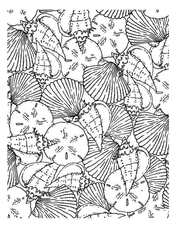 Hand-Drawn Simply Shells Screen Print by Mark Hufford – Ocean-Themed 8x10 Design for Fused Glass and Enamel Projects