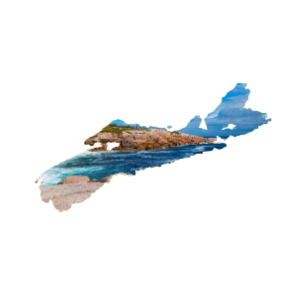 Nova Scotia precut glass shape in COE 96 Oceanside glass, available in black, white, cobalt, red, and yellow, shown ready for tack fusing