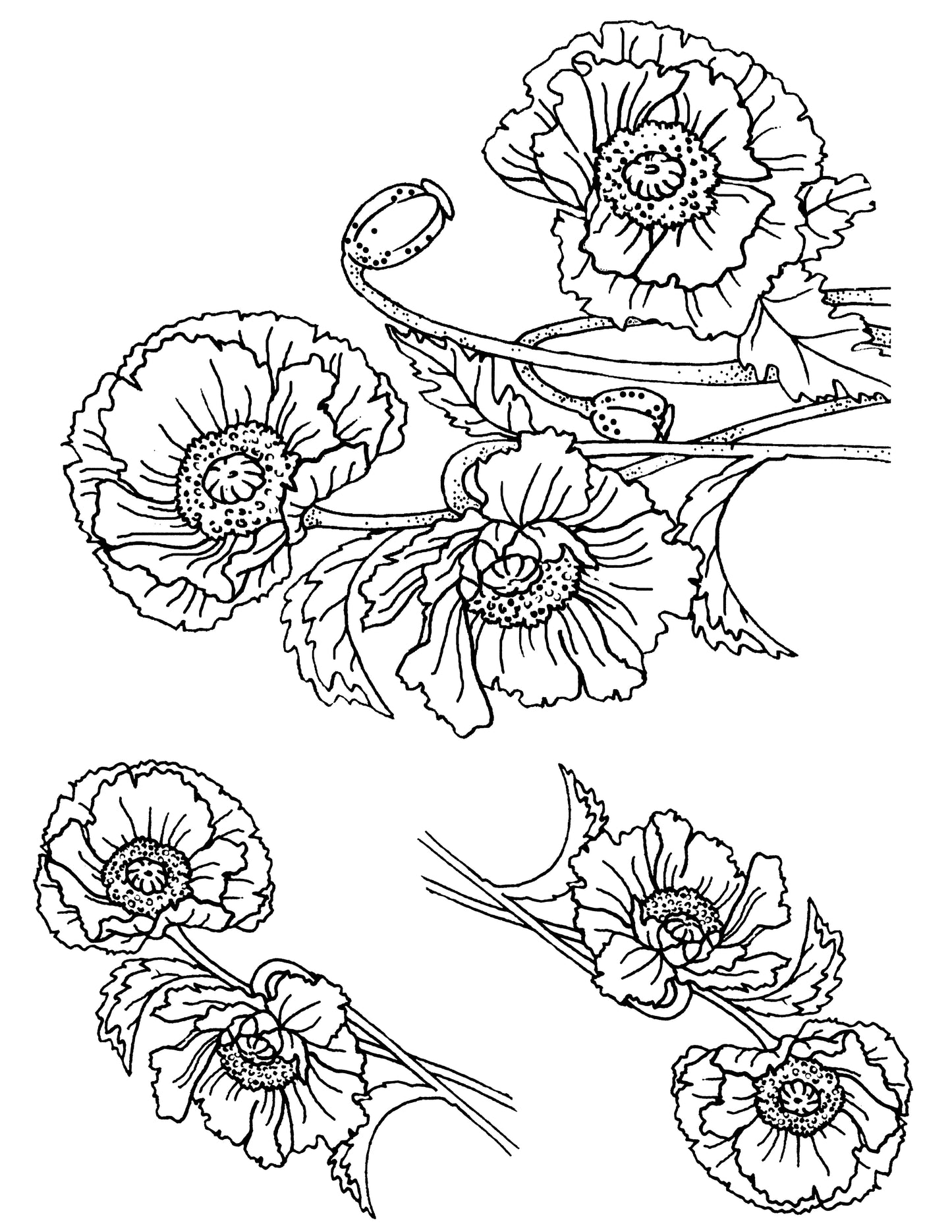 Poppies screen print by Mark Hufford – botanical fused glass stencil with floral cluster and stems (8.5x11)